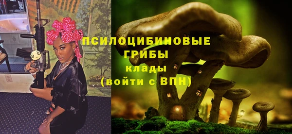 сатива Баксан