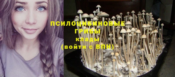 MDMA Premium VHQ Слюдянка