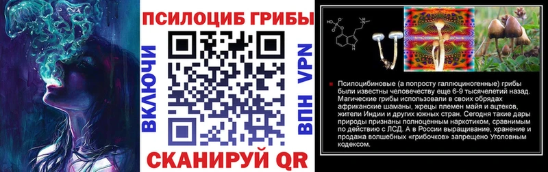 Галлюциногенные грибы Magic Shrooms  где продают наркотики  Кондрово 